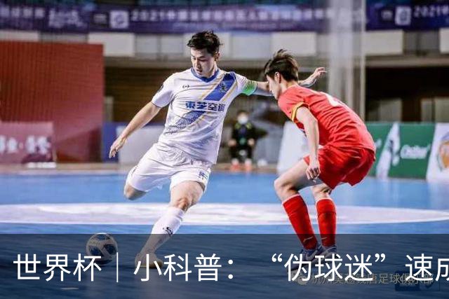 世界杯｜小科普：“伪球迷”速成手册